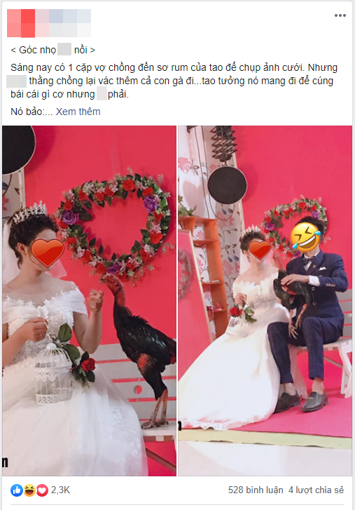 Dân mạng phì cười với cặp đôi mang gà chọi đi chụp ảnh cưới, nhưng bất ngờ nhất là kết cục do chú gà gây ra - Ảnh 1.