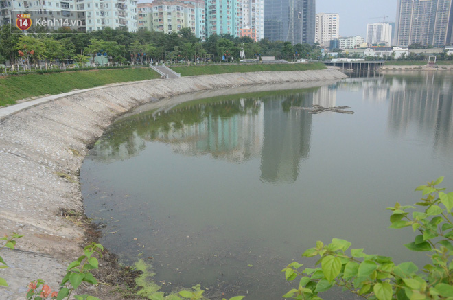 Chùm ảnh: Cỏ dại, bèo tây phủ kín khiến công viên nước 300 tỷ ở Hà Nội như một &quot;đầm lầy&quot; - Ảnh 11.