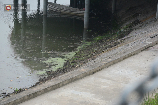 Chùm ảnh: Cỏ dại, bèo tây phủ kín khiến công viên nước 300 tỷ ở Hà Nội như một &quot;đầm lầy&quot; - Ảnh 12.