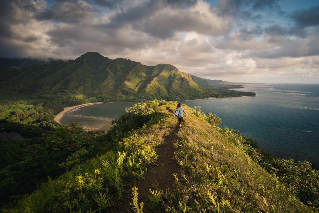 Du khách “ngã ngửa” toàn tập khi đến “thiên đường biển” Hawaii vì tất cả những hình ảnh hiền hòa, thư giãn từng thấy trên mạng giờ chỉ còn là mộng tưởng - Ảnh 2.