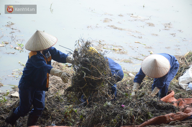 Chùm ảnh: Cỏ dại, bèo tây phủ kín khiến công viên nước 300 tỷ ở Hà Nội như một &quot;đầm lầy&quot; - Ảnh 6.