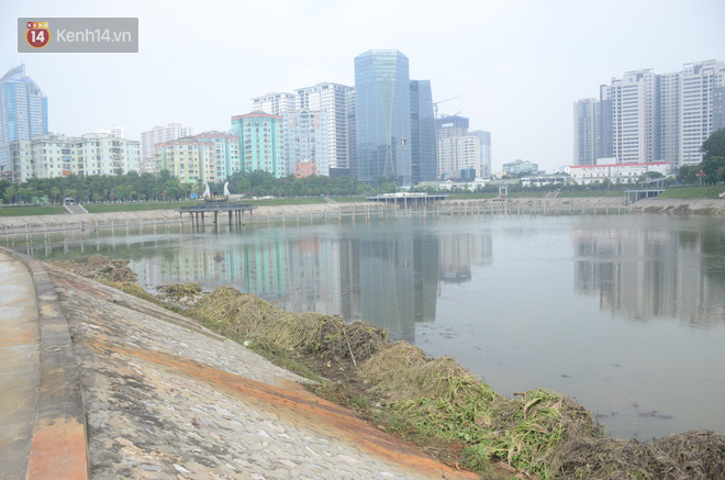 Chùm ảnh: Cỏ dại, bèo tây phủ kín khiến công viên nước 300 tỷ ở Hà Nội như một &quot;đầm lầy&quot; - Ảnh 7.