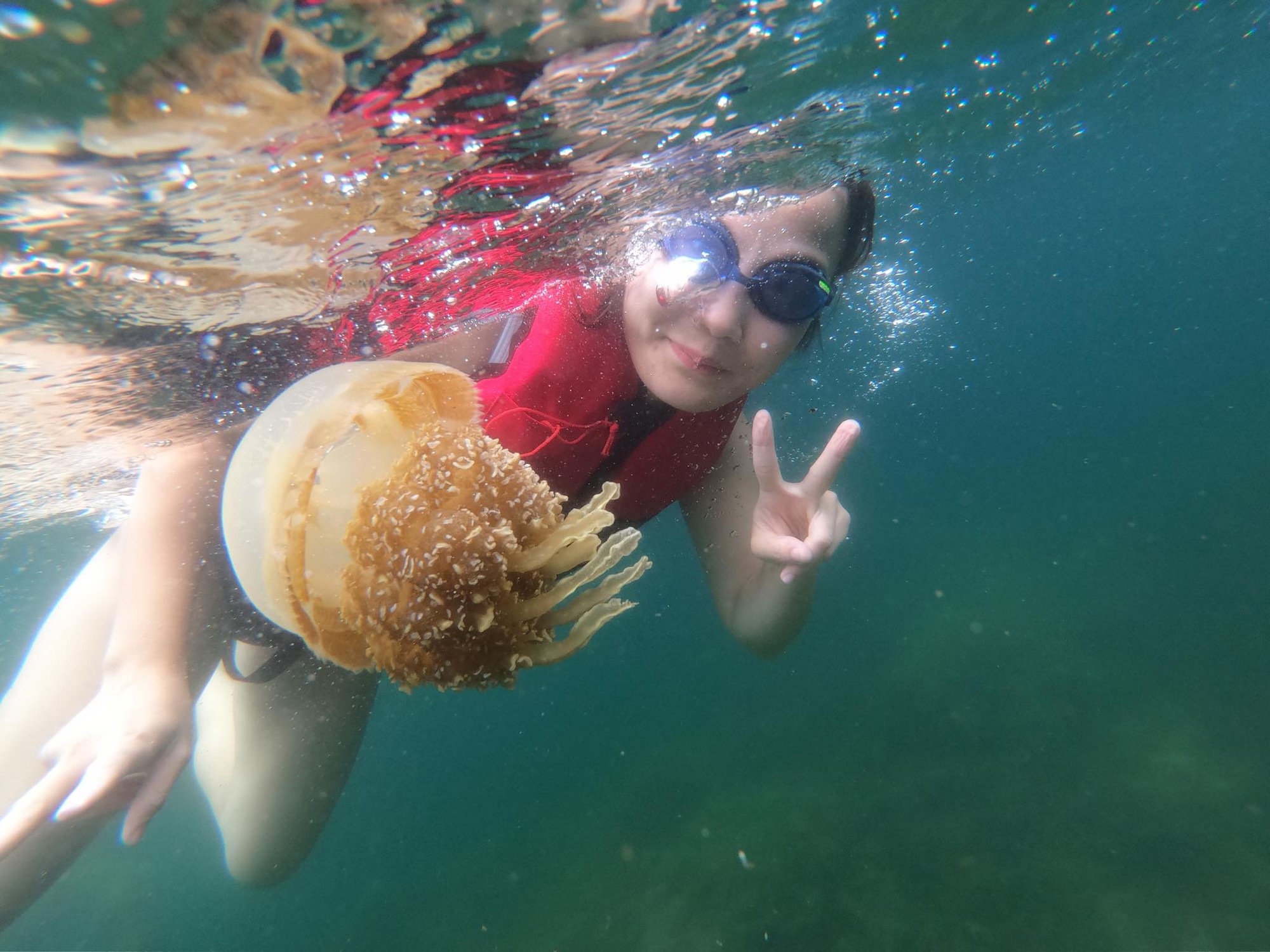 Du lịch thiên đường lặn biển Palau cùng gia đình con nhỏ 14 tháng, chồng lái trực thăng đưa vợ đi chơi - Ảnh 17.