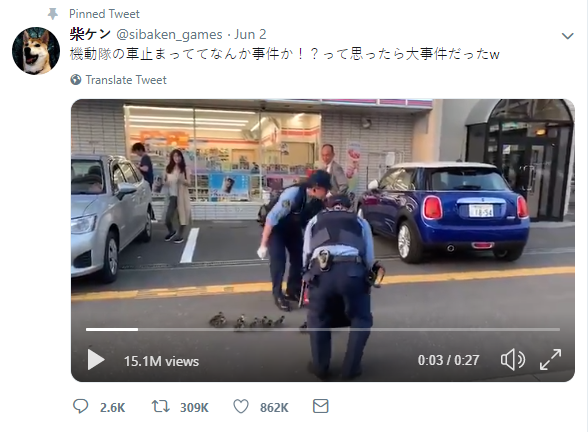 Chỉ có ở Nhật Bản: Mẹ con nhà vịt được cảnh sát hộ tống sang đường, thu hút đến 15 triệu lượt xem trên MXH - Ảnh 3.