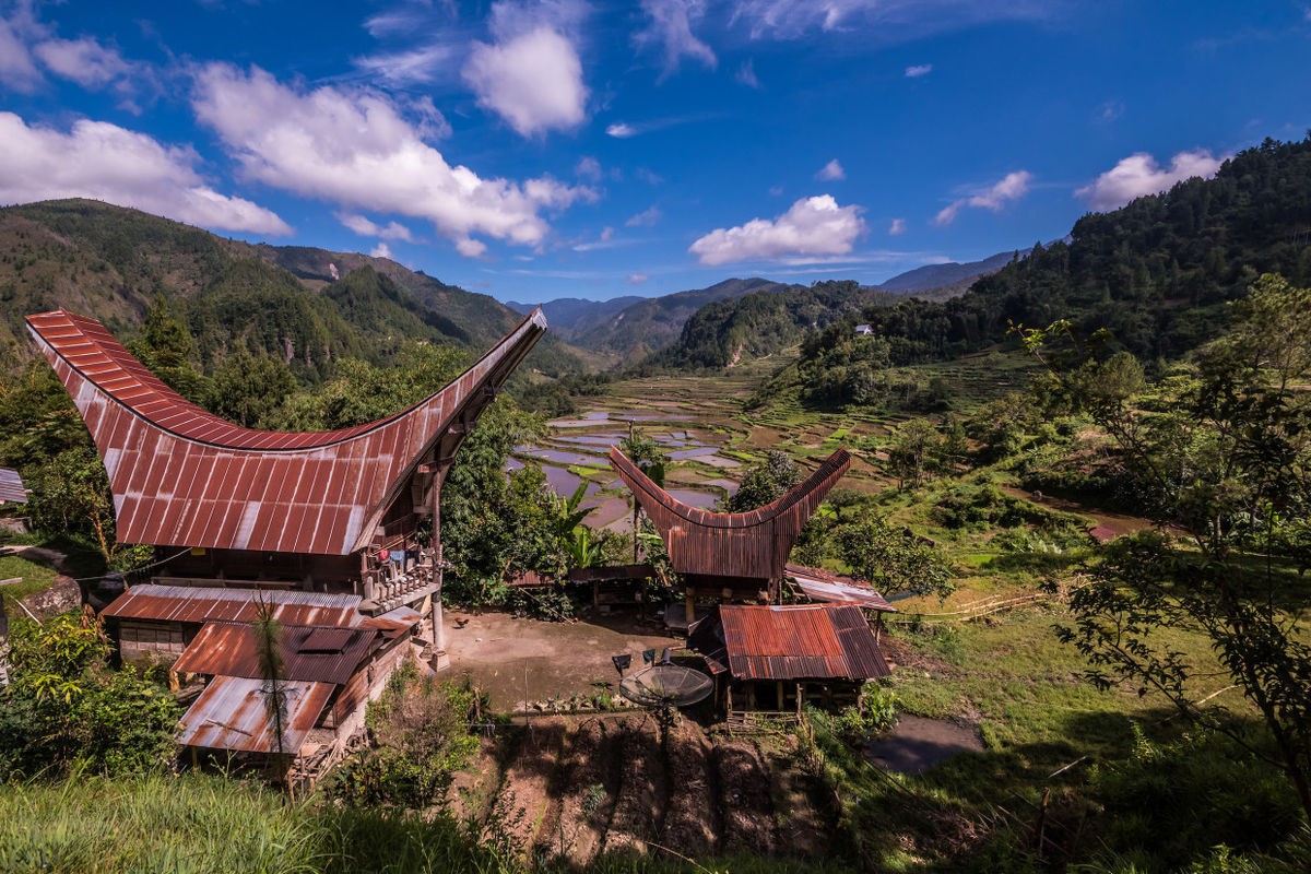 Bộ lạc văn minh nhưng có tập tục mai táng rùng rợn nhất thế giới: Sống chung với xác chết đến khi nào con cháu đủ tiền tỷ làm đám ma thì chôn - Ảnh 14.