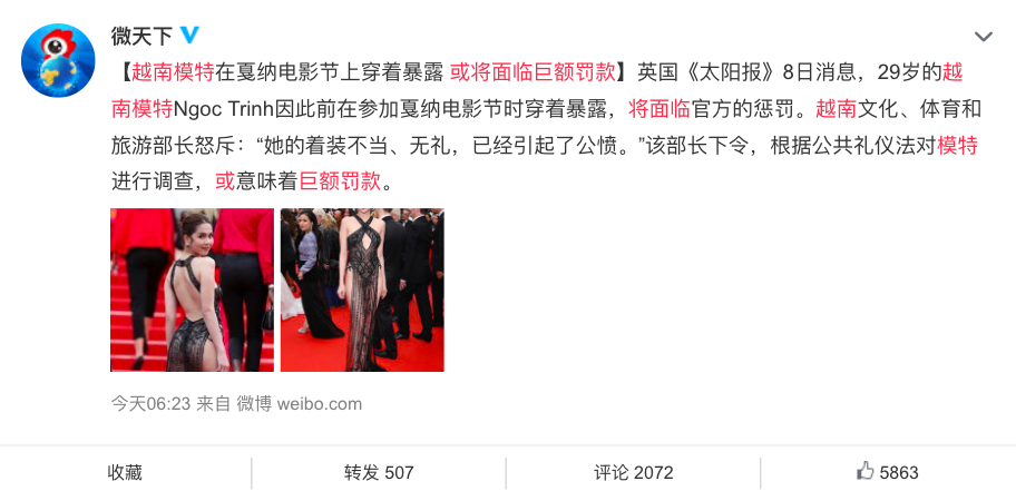 Cư dân mạng Trung Quốc bất ngờ &quot;bênh vực&quot; Ngọc Trinh sau thông tin có thể bị phạt tiền vì mặc hở tại Cannes  - Ảnh 2.