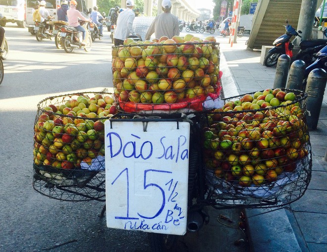 Thực hư xuất xứ đào Sapa siêu rẻ bán tràn đường và chiêu qua mặt “móc ví” khách hàng - Ảnh 2.