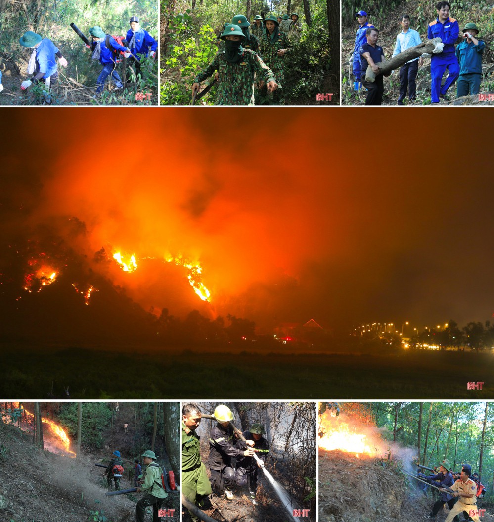 Toàn cảnh thảm họa cháy rừng ở Hà Tĩnh - Ảnh 2.