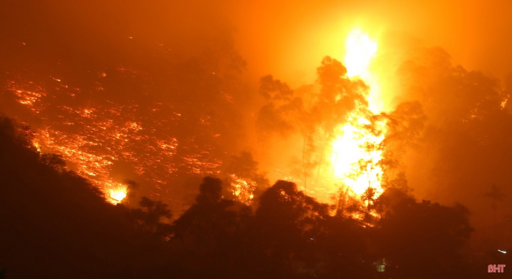 Toàn cảnh thảm họa cháy rừng ở Hà Tĩnh - Ảnh 6.