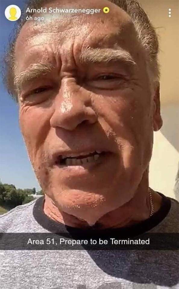 celebrities-going-to-area-51-meme-003-arnold-will-terminate-them-alien-cheeks
