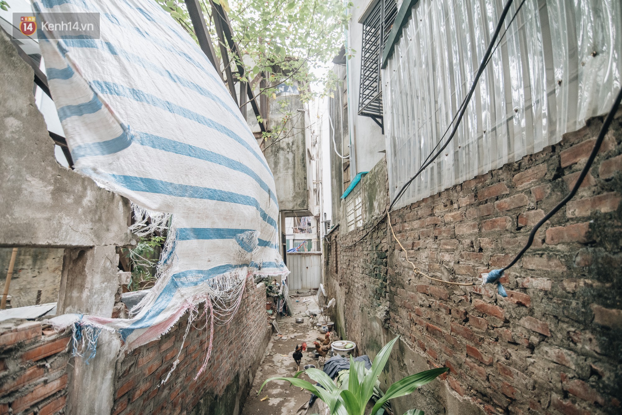 Kỳ lạ những căn nhà tầm gửi, chống nạng chờ sập suốt 10 năm qua ở Hà Nội - Ảnh 9.