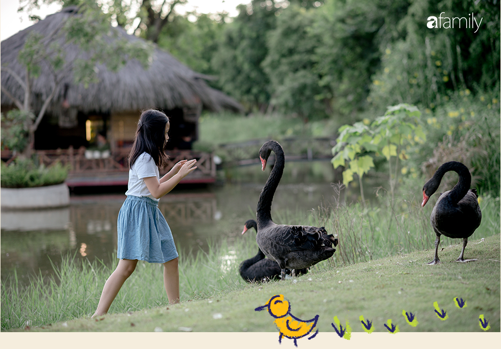 Chuyện của mẹ Thóc: Đừng biến con thành những đứa trẻ phải chạy theo giấc mơ của đời mình - Ảnh 24.