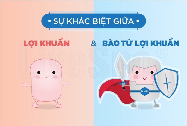 Ảnh 1 Ảnh 1