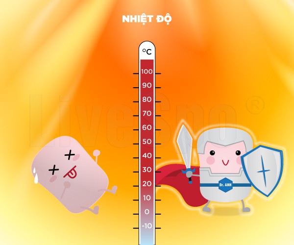 Ảnh 4 Ảnh 4