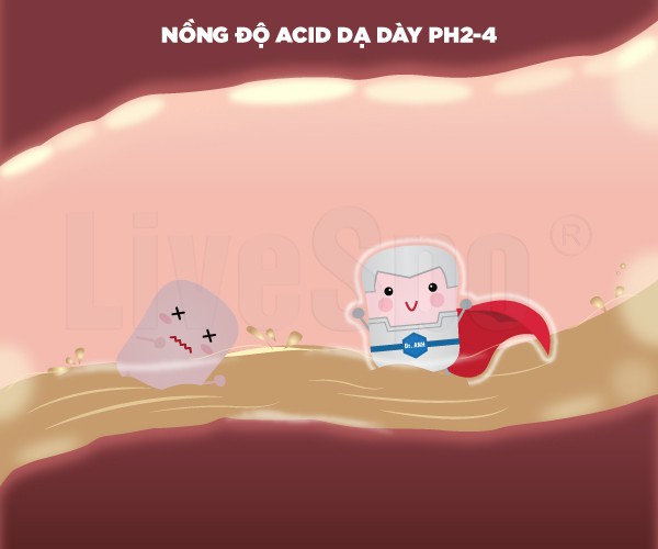 Ảnh 5 Ảnh 5