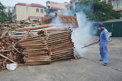 TP.HCM: Hơn 24.700 ca mắc sốt xuất huyết, 5 ca tử vong - Ảnh 2. TP.HCM: Hơn 24.700 ca mắc sốt xuất huyết, 5 ca tử vong - Ảnh 2.