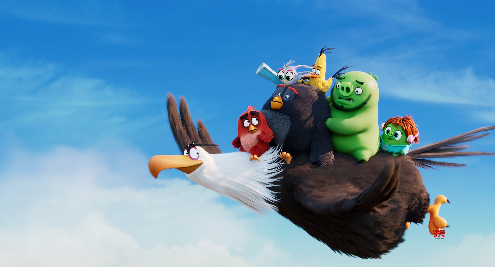 Thái Hòa chia sẻ lý do lồng tiếng &quot;Angry Birds 2&quot; gây xúc động - Ảnh 2.