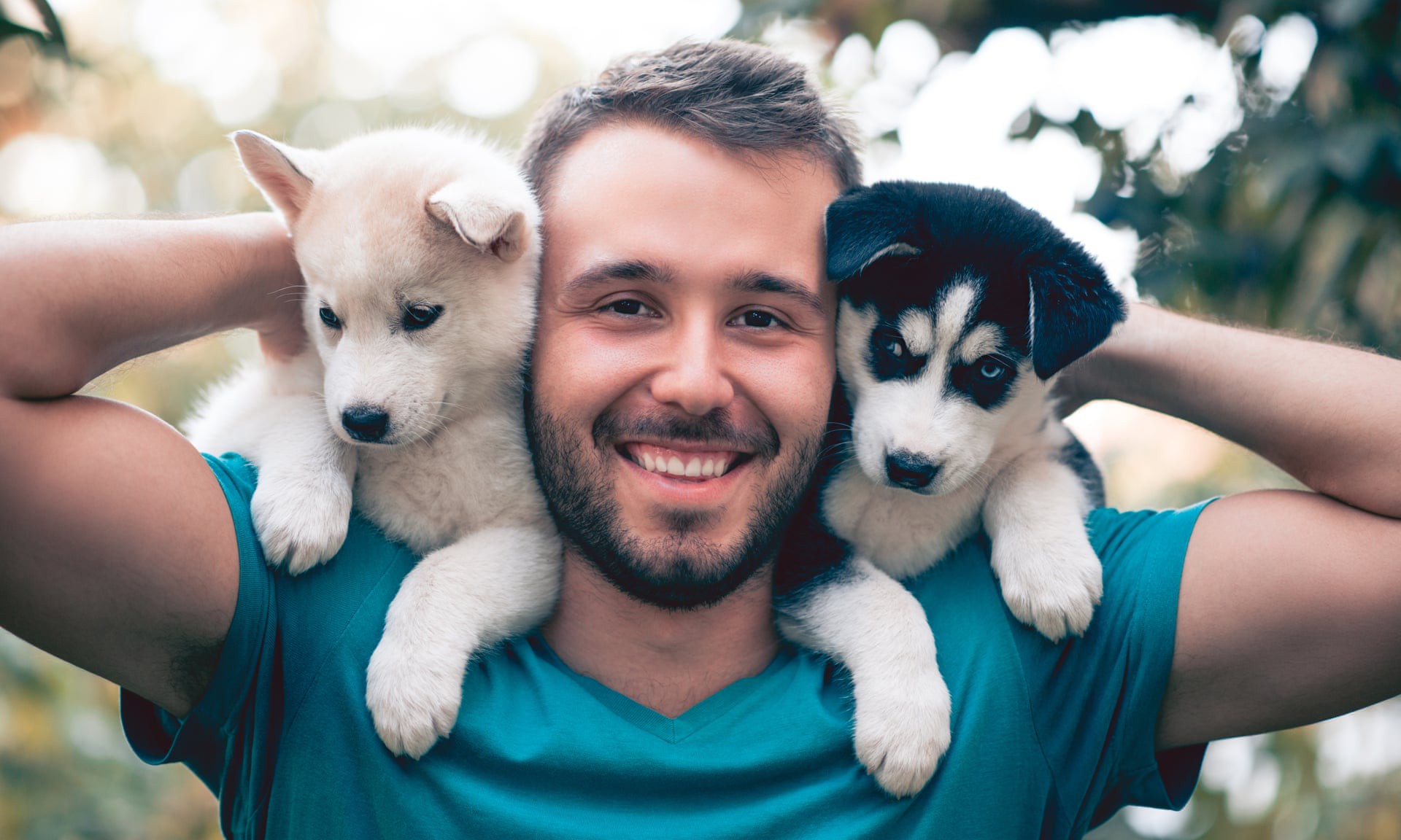Nghiên cứu cho thấy: Hơn 25% đàn ông để avatar có chó thường hay 