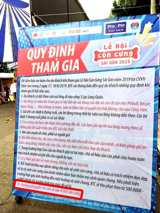 BTC Lễ hội cún cưng 2019 lên tiếng về bảng quy định không giải quyết cho chó cỏ vào lễ hội - Ảnh 1.