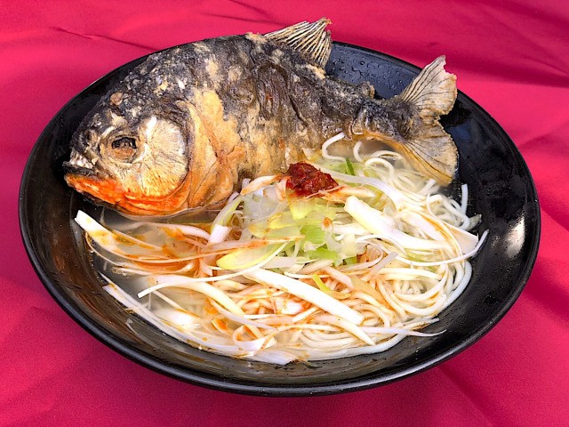piranha-ramen-tokyo-japan-ninja-bar-cafe-japanese-noodles-wtf-wow-crazy-weird-best-ranking-reviews-travel-tourism-tourist-sites-limited-14