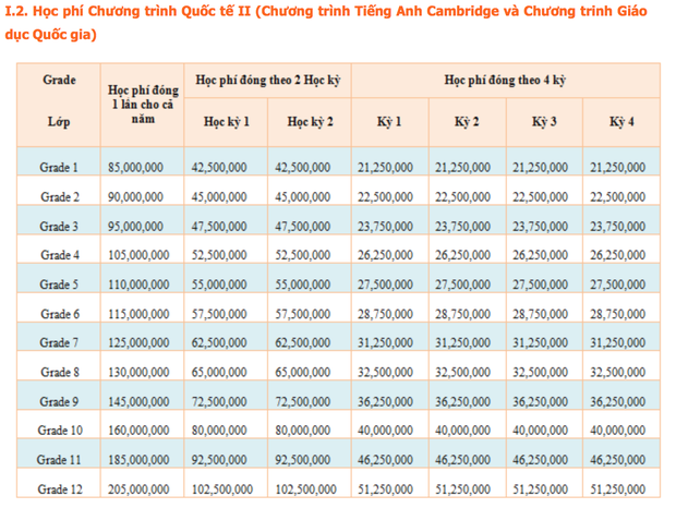 Hàng loạt trường ở TPHCM tự gắn mác Quốc tế, thu học phí khủng tận 380 triệu đồng/năm - Ảnh 7.