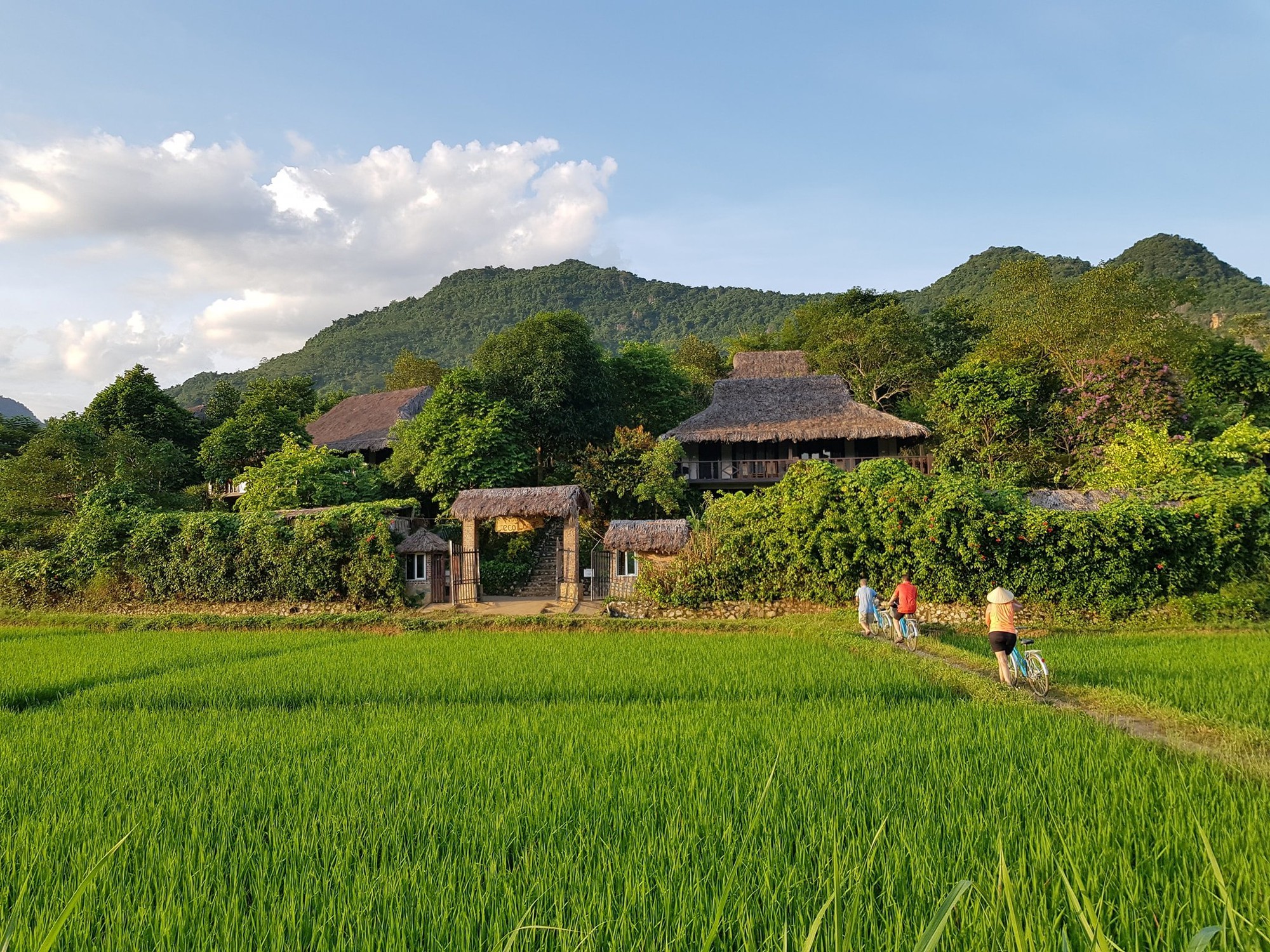 Ecolodge Resort 3