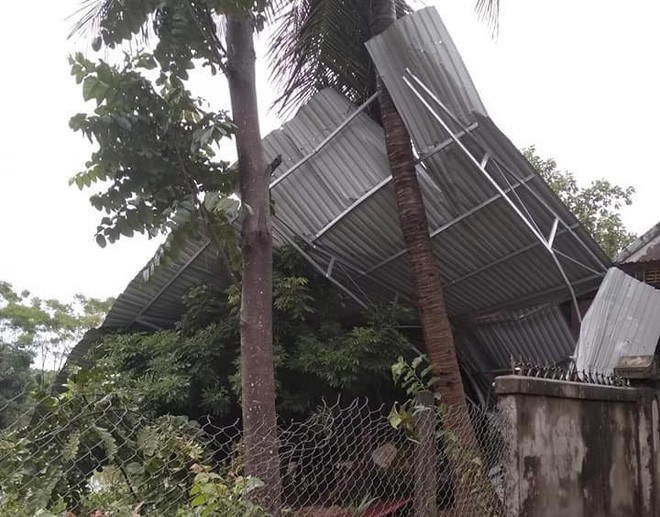 Hàng loạt cây đổ, nhà cửa tan hoang sau khi bão số 4 đổ bộ vào Nghệ An - Hà Tĩnh - Ảnh 9.
