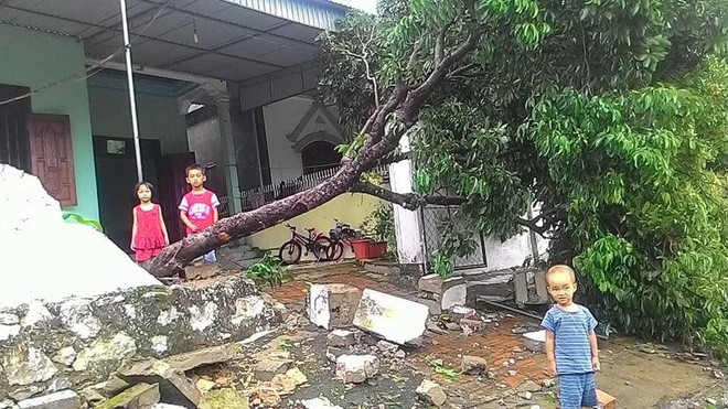 Hàng loạt cây đổ, nhà cửa tan hoang sau khi bão số 4 đổ bộ vào Nghệ An - Hà Tĩnh - Ảnh 10.