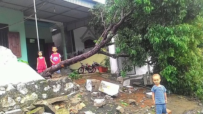Hàng loạt cây đổ, nhà cửa tan hoang sau khi bão số 4 đổ bộ vào Nghệ An - Hà Tĩnh - Ảnh 10. Hàng loạt cây đổ, nhà cửa tan hoang sau khi bão số 4 đổ bộ vào Nghệ An - Hà Tĩnh - Ảnh 10.