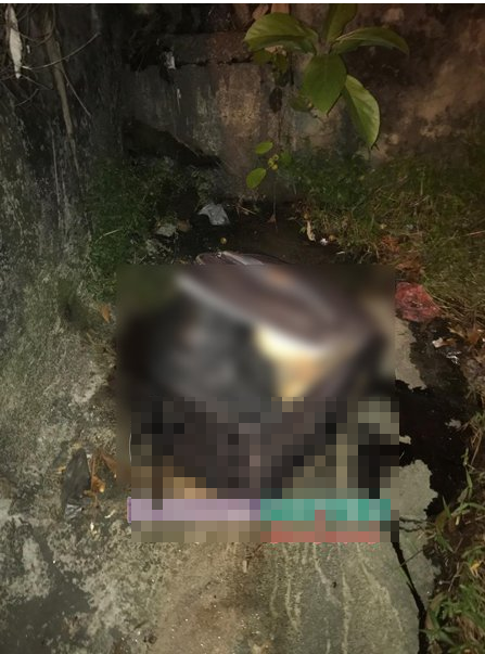 womans-severed-body-and-exposed-legs-found-in-abandoned-suitcase-at-shah-alam-world-of-buzz