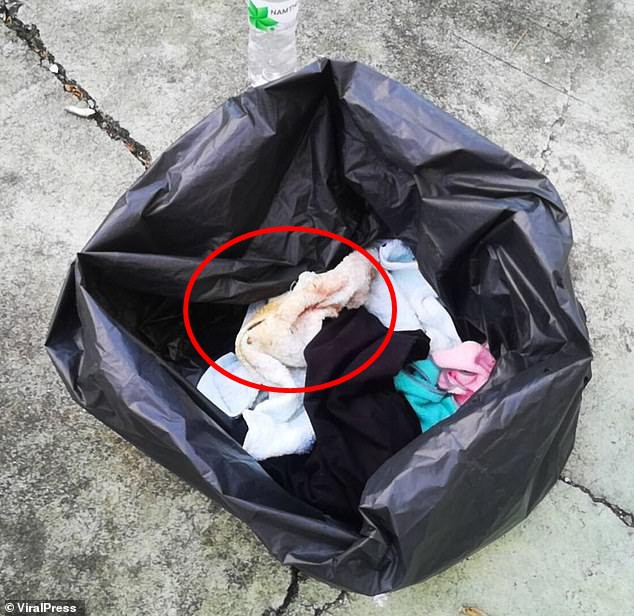 16768096-7310491-He_was_discovered_by_a_local_wrapped_in_a_rubbish_bag_with_what_-m-165_1564667653313 16768096-7310491-He_was_discovered_by_a_local_wrapped_in_a_rubbish_bag_with_what_-m-165_1564667653313
