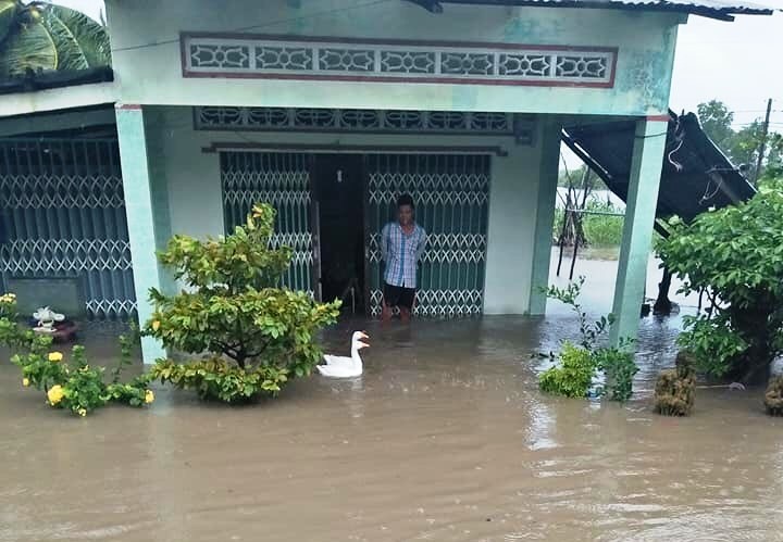 Cà Mau: Hàng trăm căn nhà bị sập, tốc mái và nước ngập do ảnh hưởng cơn bão số 3 - Ảnh 2.