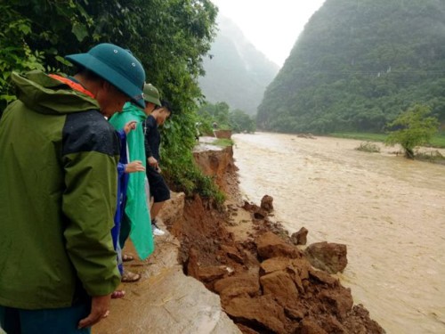 Giây phút sinh tử của chàng trai vì cứu người mắc kẹt trên ngọn cây giữa dòng lũ - Ảnh 4.