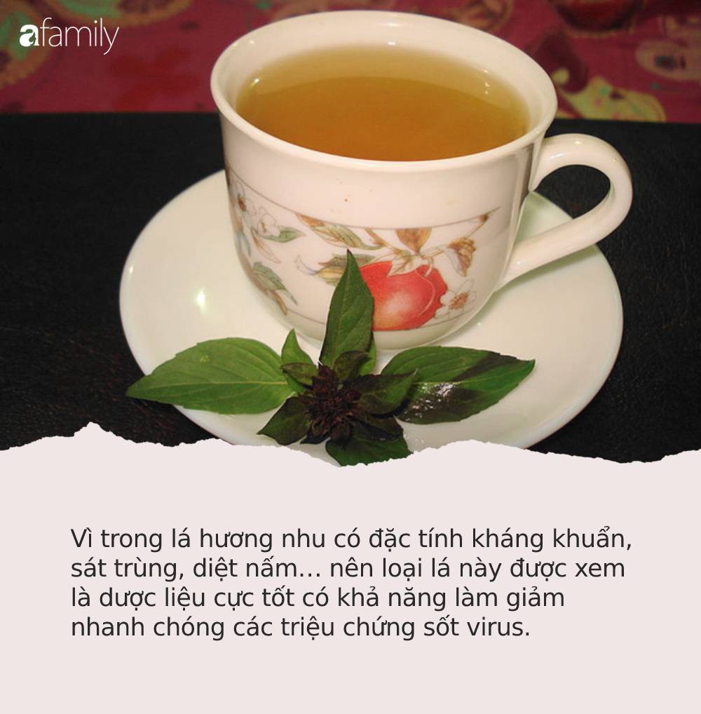 Con nhỏ bị sốt virus, mẹ cứ làm 5 mẹo này con sẽ khỏi cực nhanh mà không mất 1 đồng tiền thuốc - Ảnh 3.