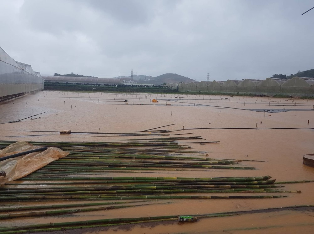 Ảnh: Biển nước sau mưa lớn ở Lâm Đồng, người dân đổ xô ra đường 'hôi cá' - Ảnh 1.