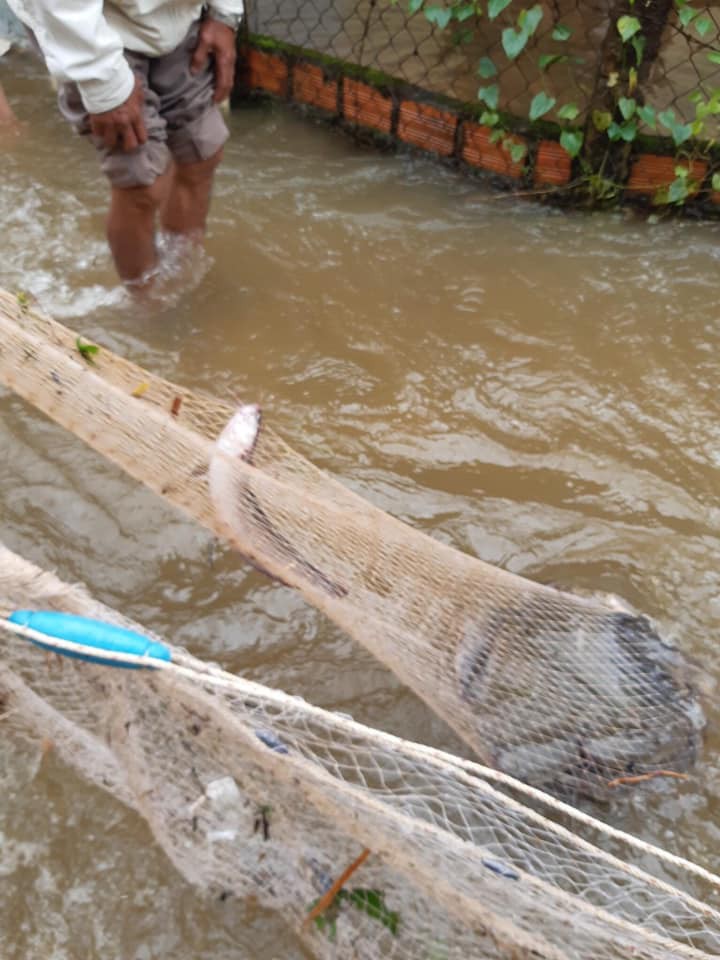 Ảnh: Biển nước sau mưa lớn ở Lâm Đồng, người dân đổ xô ra đường 'hôi cá' - Ảnh 6.