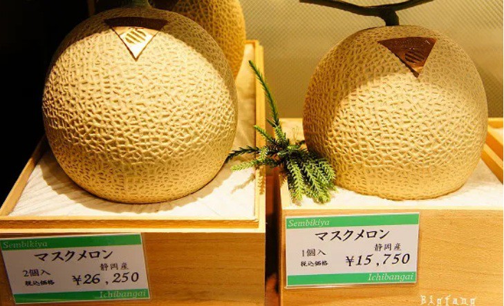 Bên trong cửa hàng trái cây tươi đắt nhất Nhật Bản - Ảnh 11.