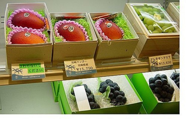 Bên trong cửa hàng trái cây tươi đắt nhất Nhật Bản - Ảnh 13.