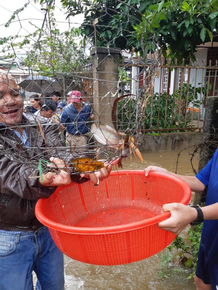 Ảnh: Biển nước sau mưa lớn ở Lâm Đồng, người dân đổ xô ra đường 'hôi cá' - Ảnh 7.