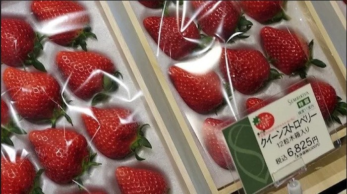 Bên trong cửa hàng trái cây tươi đắt nhất Nhật Bản - Ảnh 4.