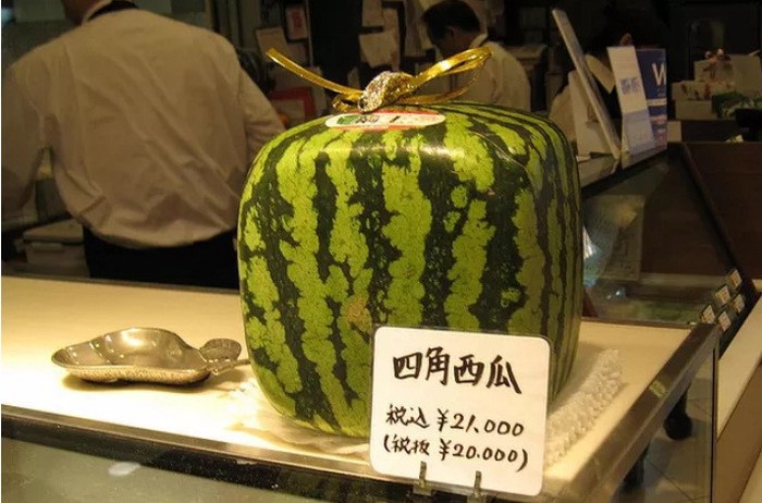 Bên trong cửa hàng trái cây tươi đắt nhất Nhật Bản - Ảnh 6.