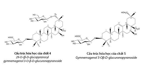 Công bố 2 hoạt chất mới giúp hạ đường huyết mạnh trong dây thìa canh Việt Nam - Ảnh 2.