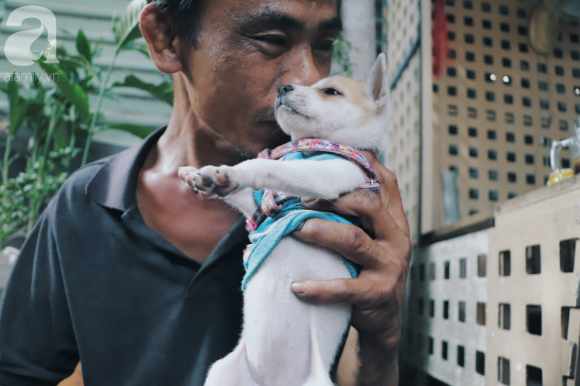 Gặp lại anh đánh giày câm và chú chó mù - hạnh phúc mở ra một trang khác