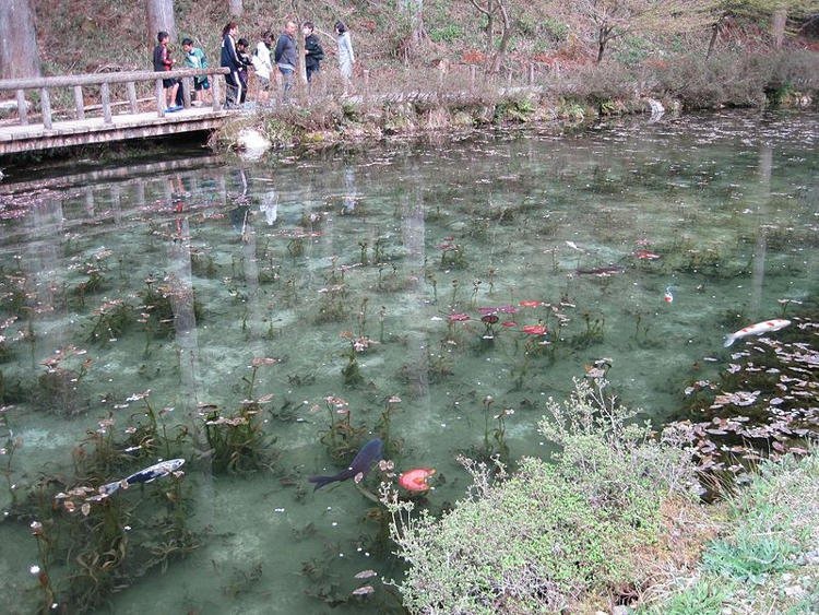 Chiếc hồ đẹp như tranh sơn dầu của Monet: 20 năm trước vô danh, không ai biết đến, giờ trở thành địa điểm hút khách bậc nhất Nhật Bản - Ảnh 2.