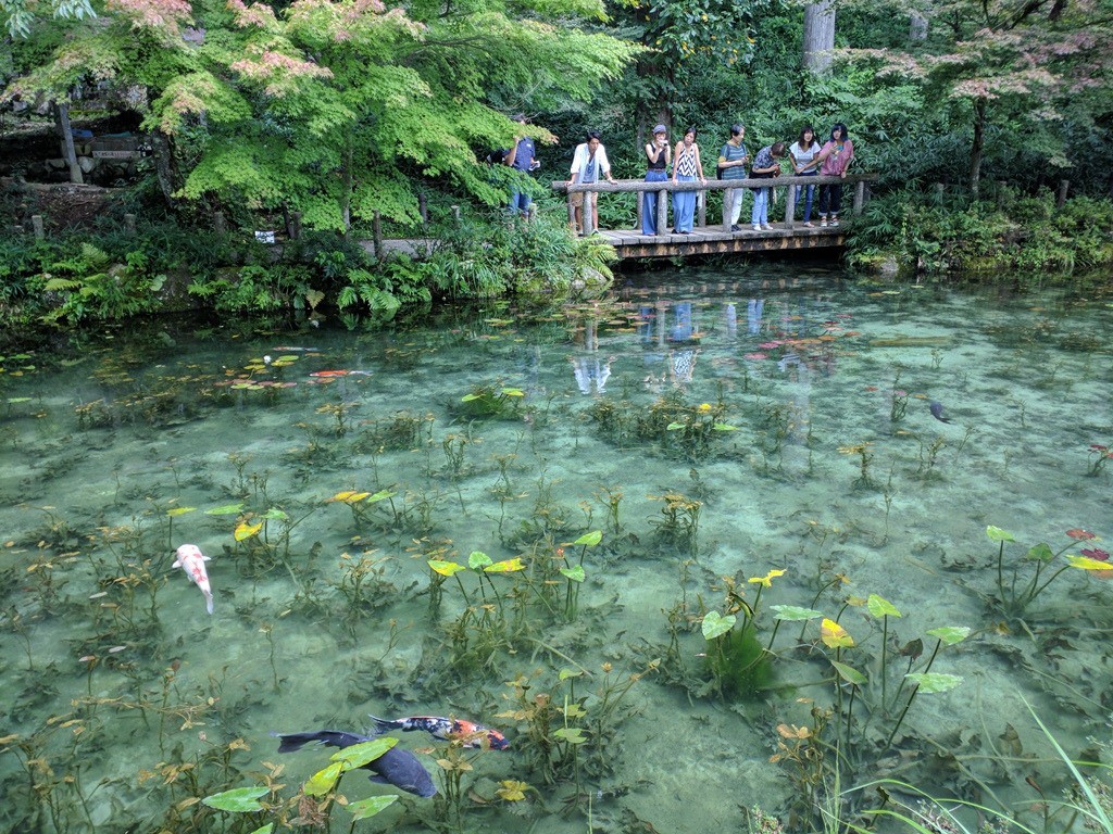 Chiếc hồ đẹp như tranh sơn dầu của Monet: 20 năm trước vô danh, không ai biết đến, giờ trở thành địa điểm hút khách bậc nhất Nhật Bản - Ảnh 3.