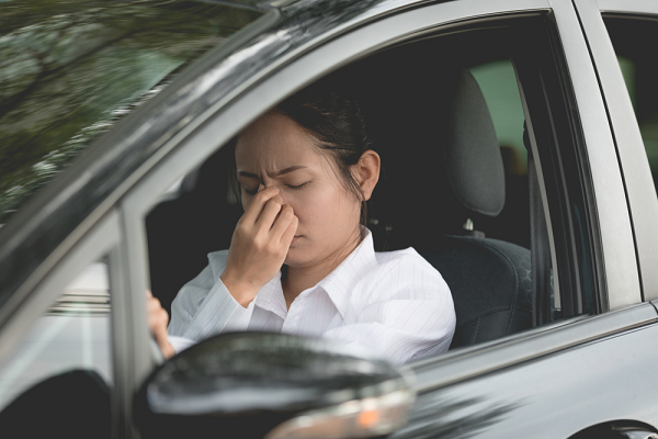 Về nhà không báo trước, nhìn thức ăn trong bát cơm của mẹ, em hất tung rồi gọi chị dâu hỏi cho ra lẽ, không ngờ câu trả lời còn sốc óc hơn - Ảnh 2. Về nhà không báo trước, nhìn thức ăn trong bát cơm của mẹ, em hất tung rồi gọi chị dâu hỏi cho ra lẽ, không ngờ câu trả lời còn sốc óc hơn - Ảnh 2.