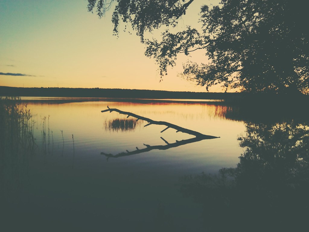 Cổ nh&acirc;n khuy&ecirc;n: Kh&ocirc;ng phải l&uacute;c n&agrave;o cũng cần si&ecirc;ng năng, lười biếng l&agrave;m 3 việc n&agrave;y ai rồi cũng c&oacute; cuộc đời b&igrave;nh an! - Ảnh 4.