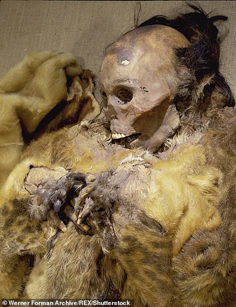 Bí ẩn xác ướp gia đình 8 người được chôn từ 500 năm trước nhưng da, tóc, lông mày và móng tay vẫn còn được giữ nguyên vẹn - Ảnh 2.