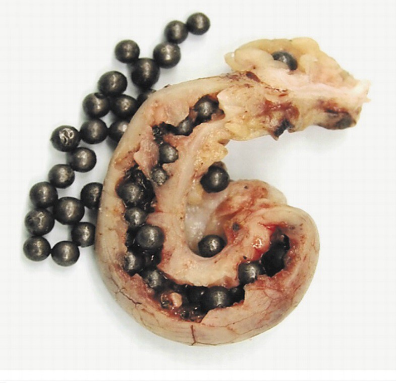 ngo-doc-chi-2 ngo-doc-chi-2