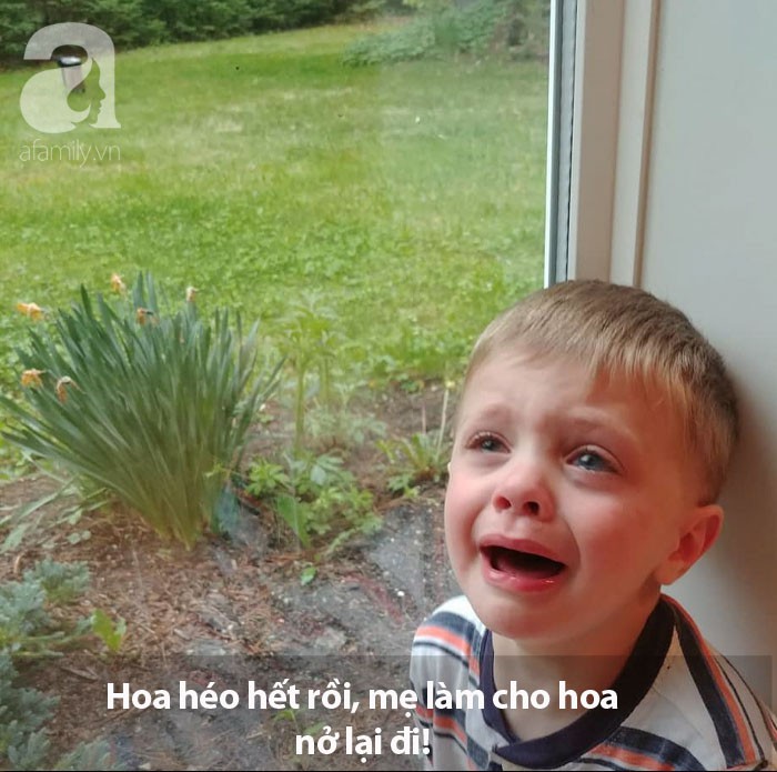 4 crying-kid-4-5cf0f04681b82__700 copy